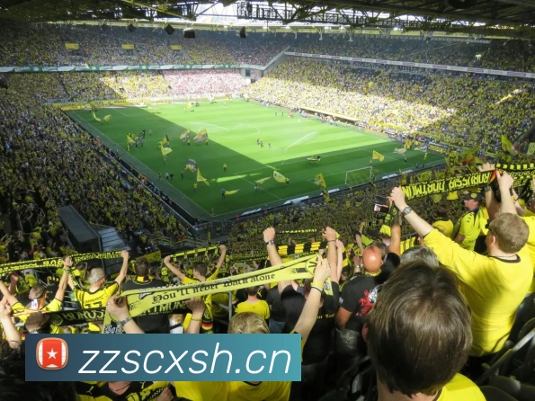 开云官方在线登陆入口APP 体育赛事宣传图